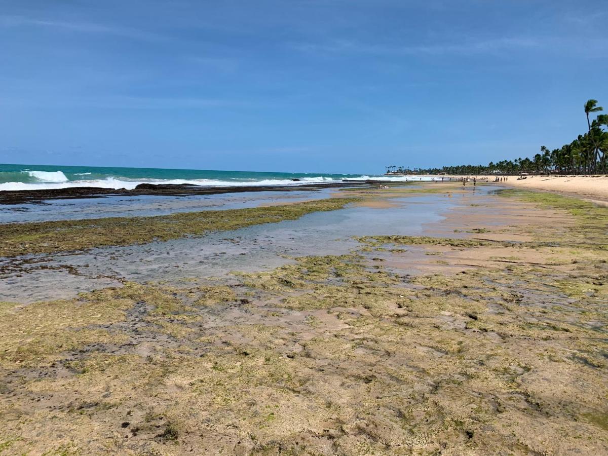 Pôrto das Galinhas Flat Beach Class Muro Alto מראה חיצוני תמונה
